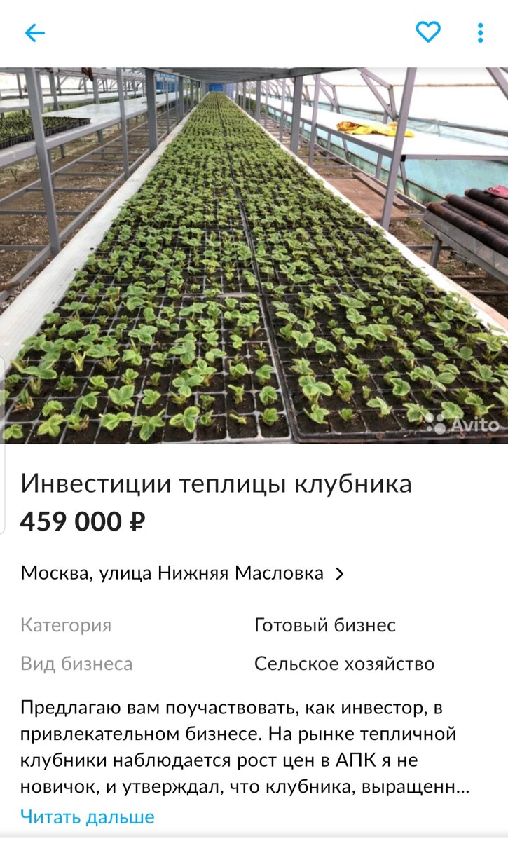 Скриншот с Авито