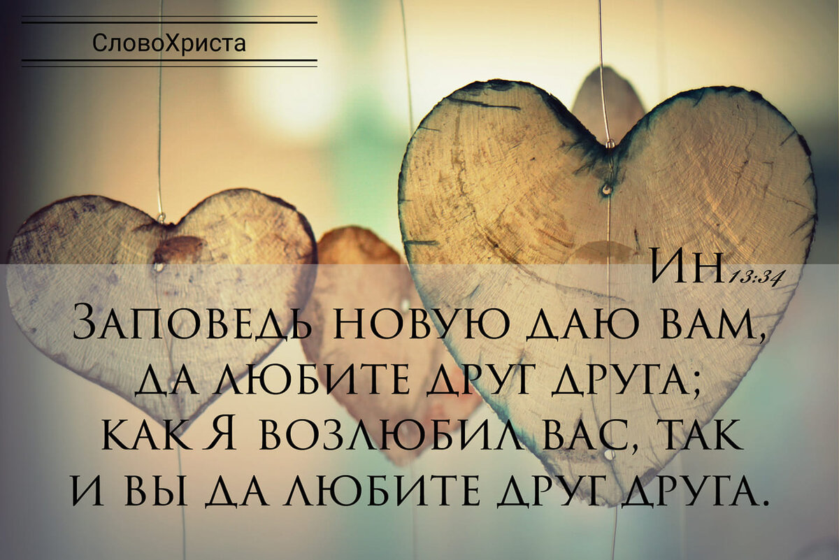 Да любите друг друга картинки