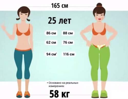 Правильное соотношение жира, мышц и воды в организме