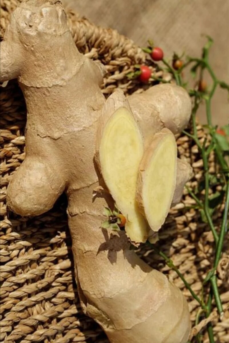 Source: https://pixabay.com/ru/photos/%D0%B8%D0%BC%D0%B1%D0%B8%D1%80%D1%8C-ingber-immerwurzel-%D0%BA%D0%BE%D1%80%D0%B5%D0%BD%D1%8C-1738098/