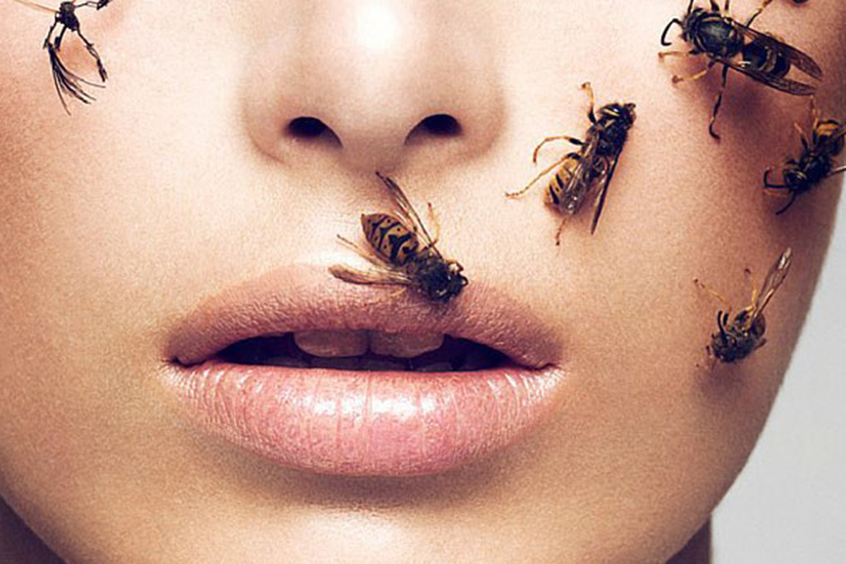 Укус пчелы человека. Лицо пчелы.