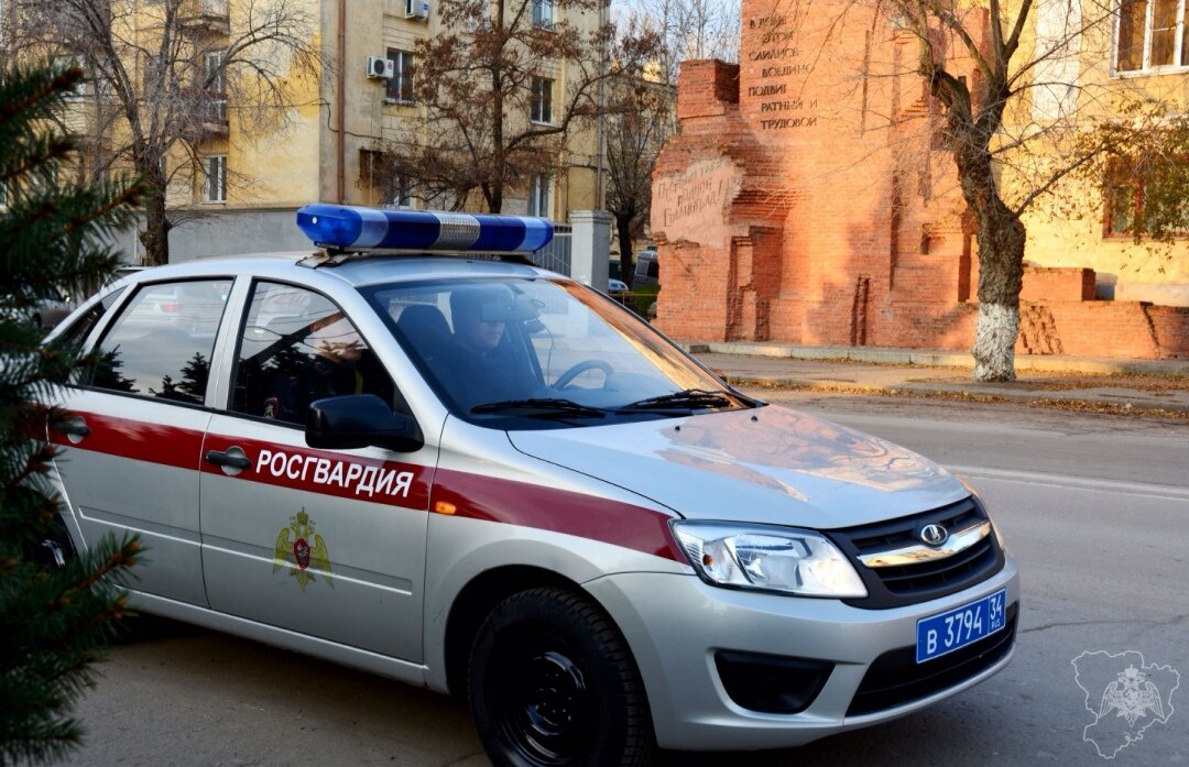 Фото: Пресс-служба Управления Росгвардии по Волгоградской области 
