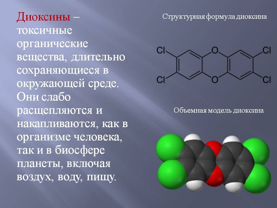яндекс/картинки