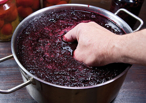 Рябиновое вино, приготовленное самостоятельно. Несложные рецепты из красной и черной рябины