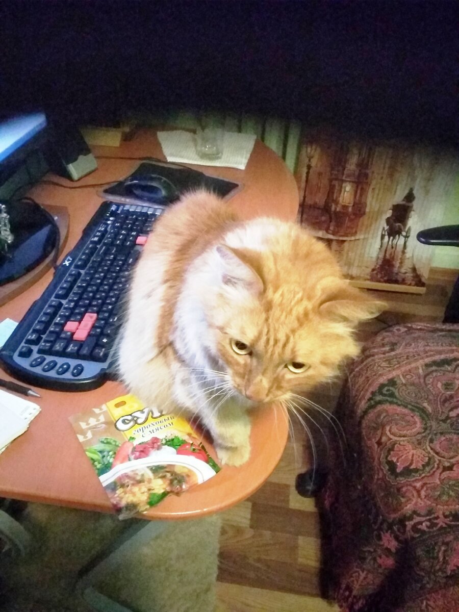 Рыжик: "ДокУменты давай!"