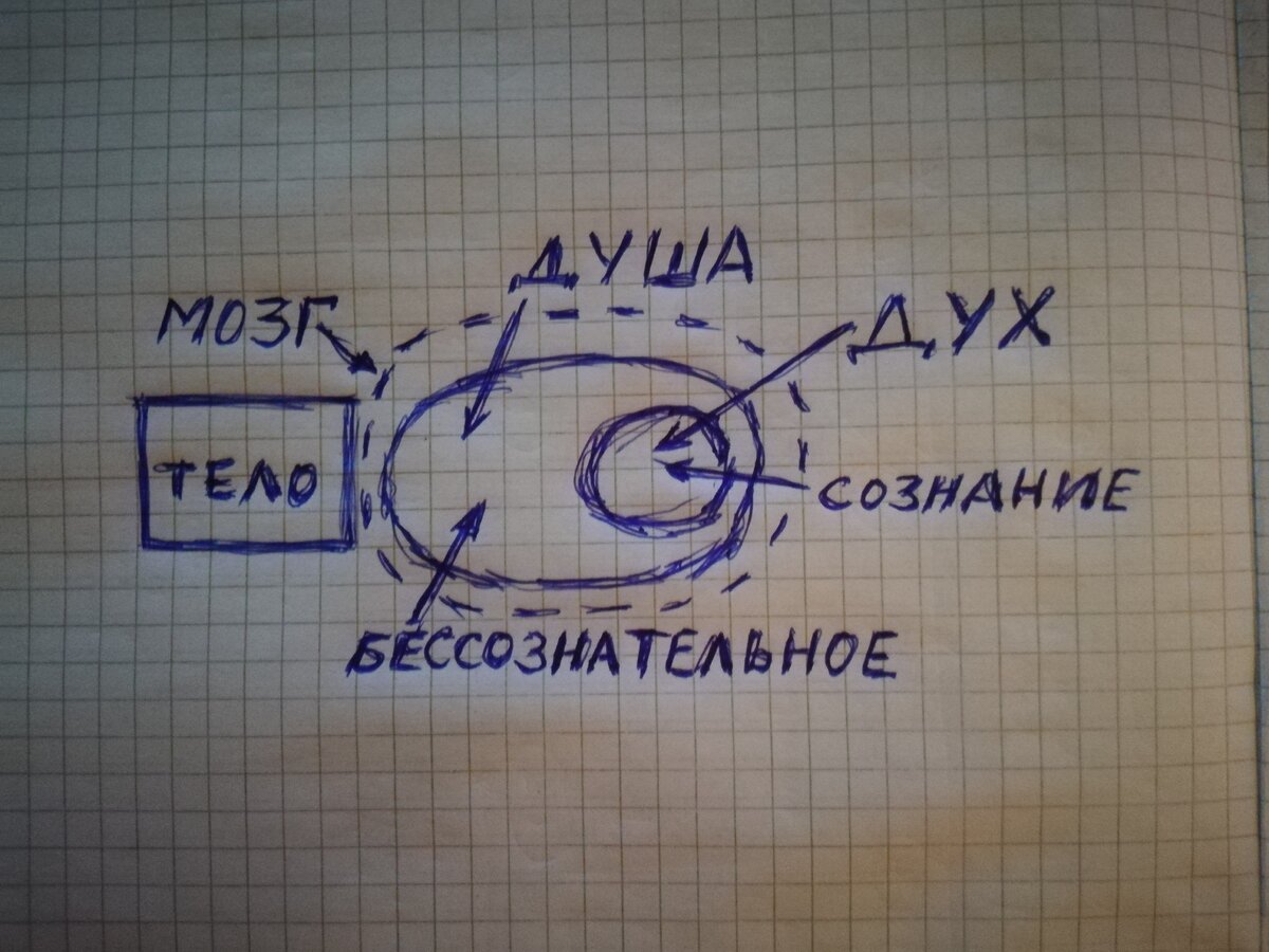 Вот такая схема психики(надписи внизу это как в психологии) 