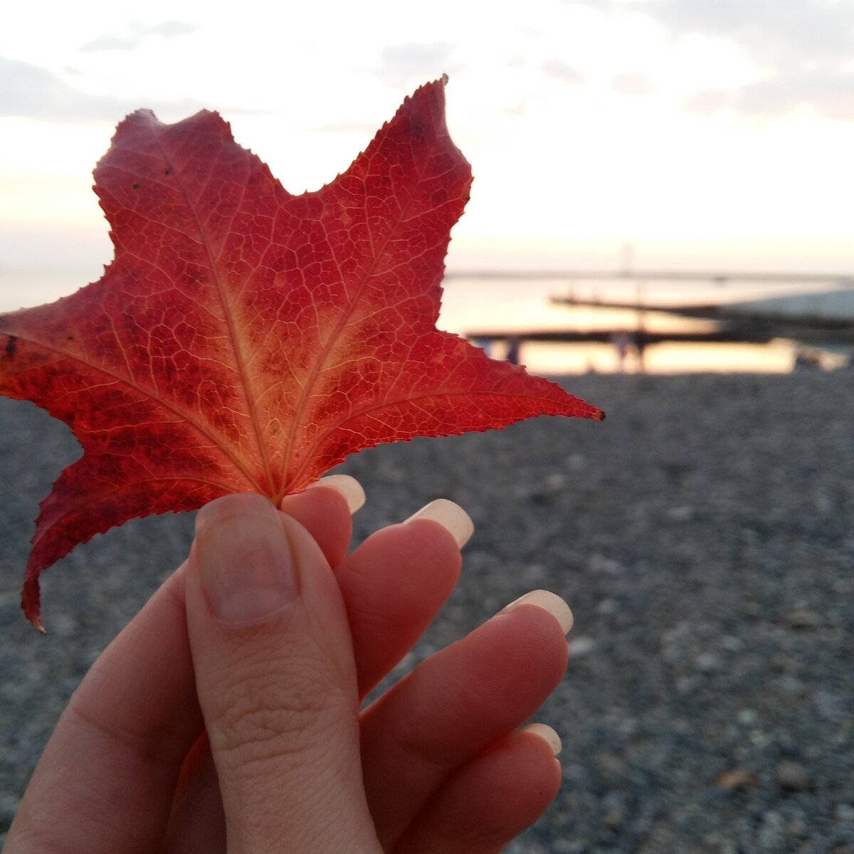 Ты - автор своей жизни.  И больше никто. Дерзай!