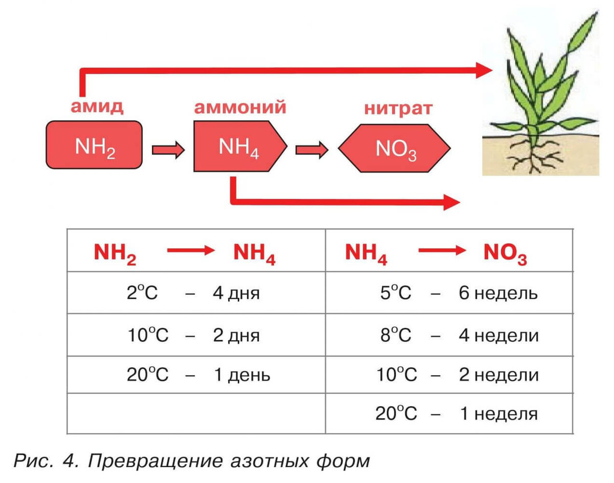 Формы азота в почве