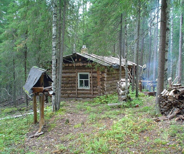 Яндекс картинки 