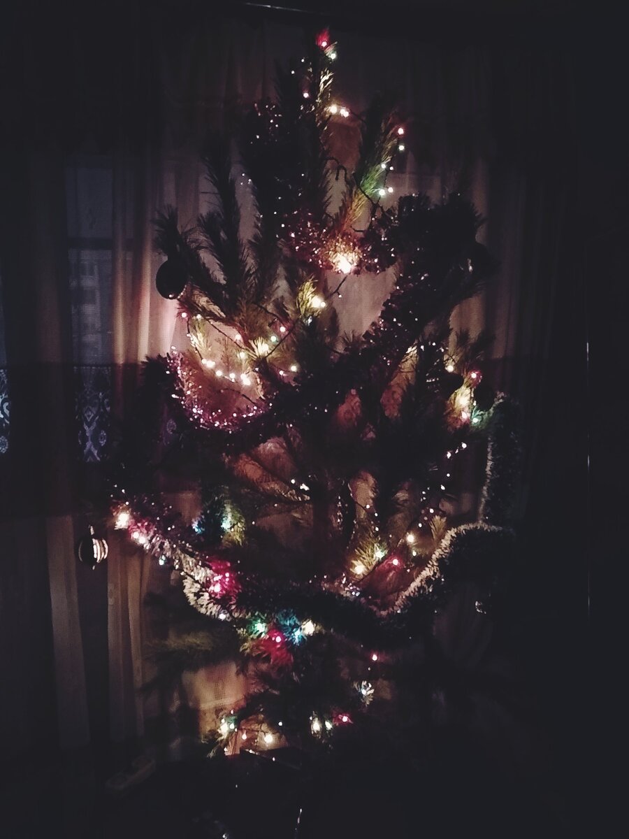 Наша елка 2019