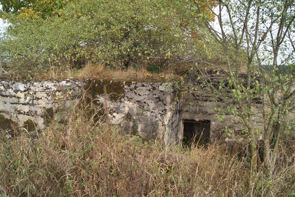 Немецкое пехотное убежище у д.Миничи.