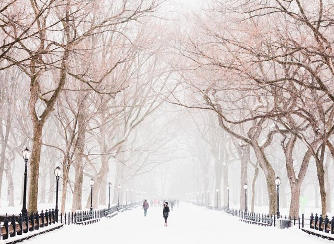 Зимний парк