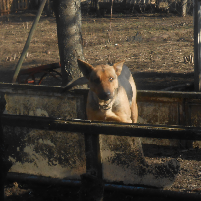 фото из личного архива автора