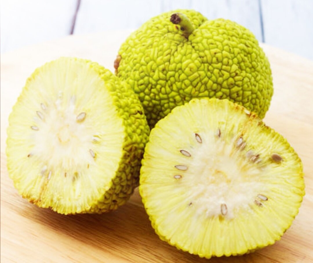 Адамово яблоко, Источник: Яндекс фото.