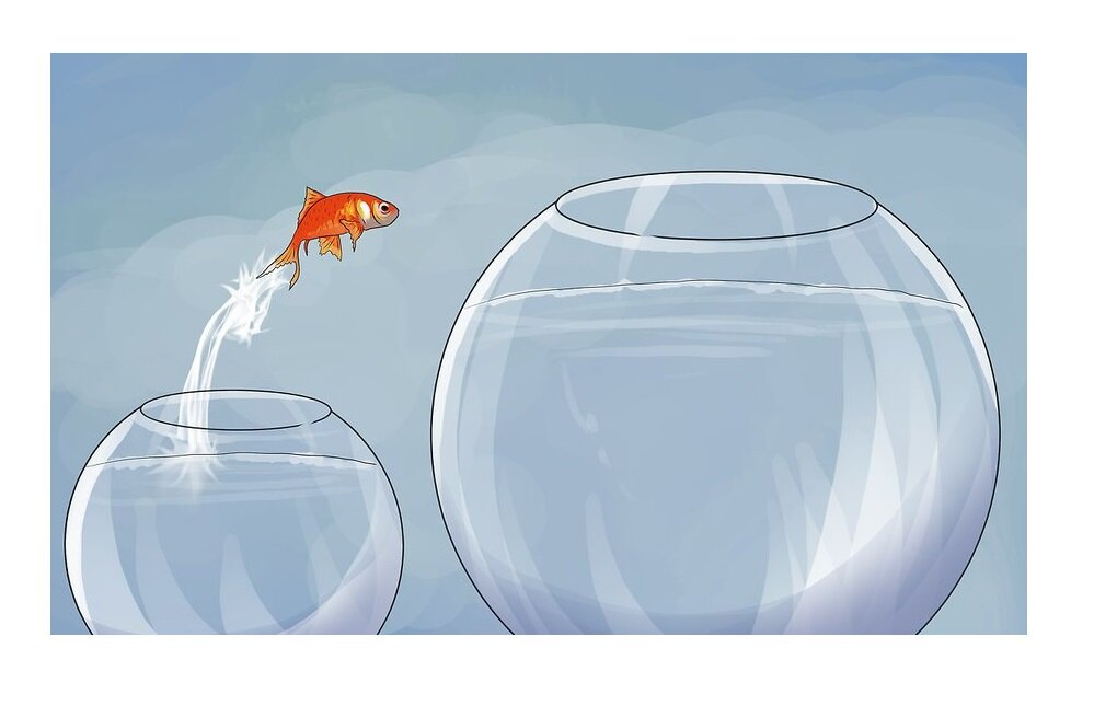 Не бойтесь выйти из зоны комфорта (как бы банально это не звучало).