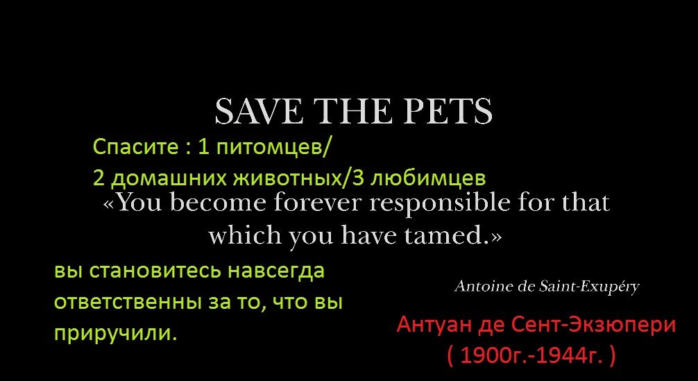 изобилие фото, не попавших в основную галерею (прокручивать галерею)      видео клип внизу