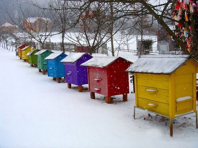 Фото из открытых источников