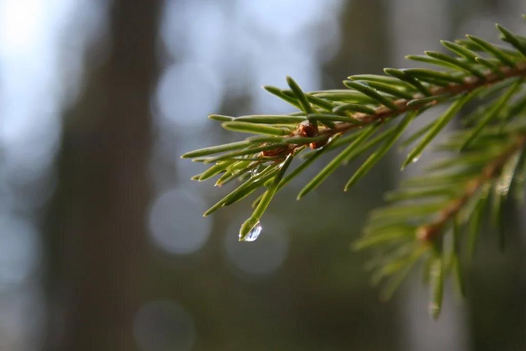 Фото – yandex.net