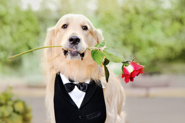 Роза в подарок