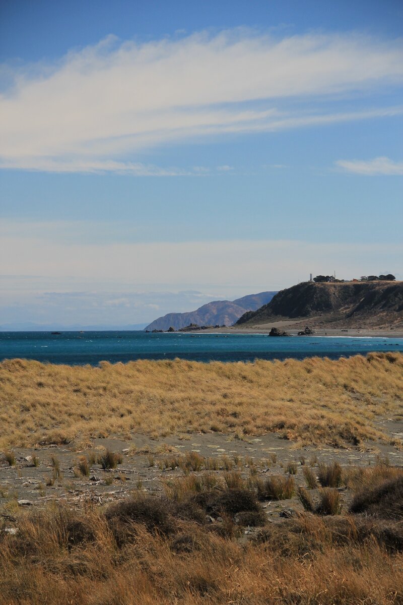 Turakirae Head Scientific Reserve, New Zealand