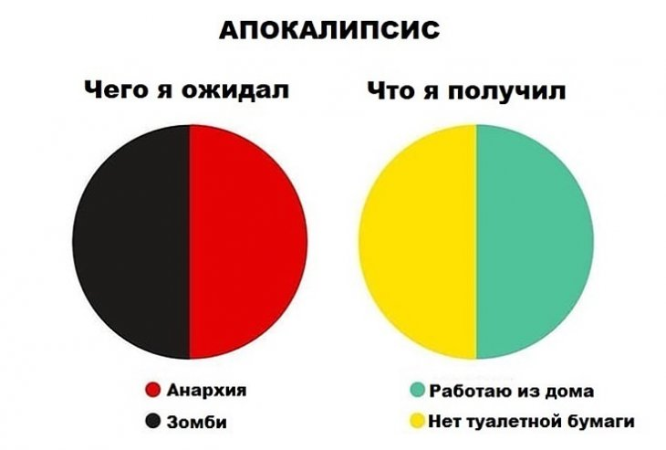 Фото взято из интернета 