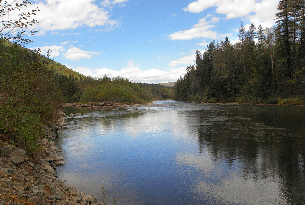 исток аргуни. забайкалье. притоки ингоды. антипиха ингода. притоки ингоды.