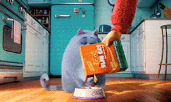 правильное питание