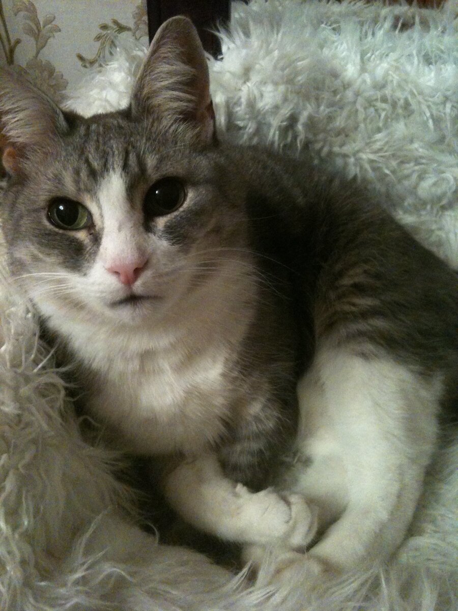 Фото автора