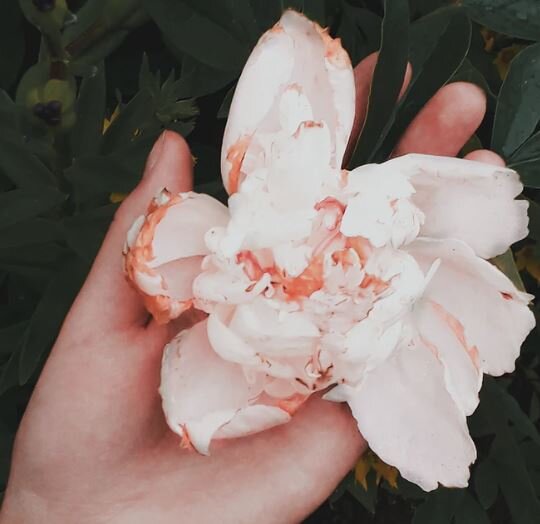 Автобиография помогает ваши негативные эмоции проживать более здоровым путем