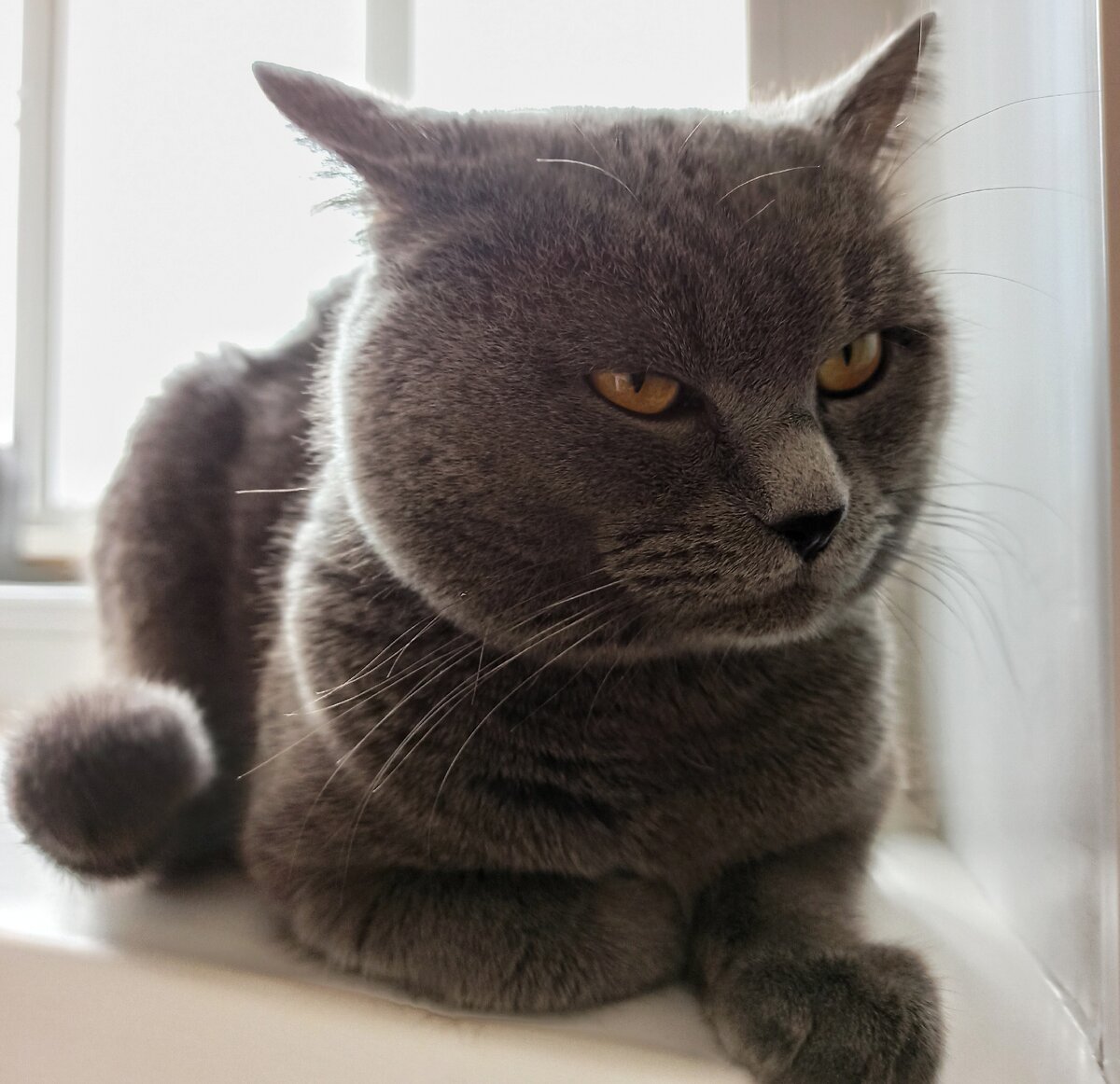 Недовольный я