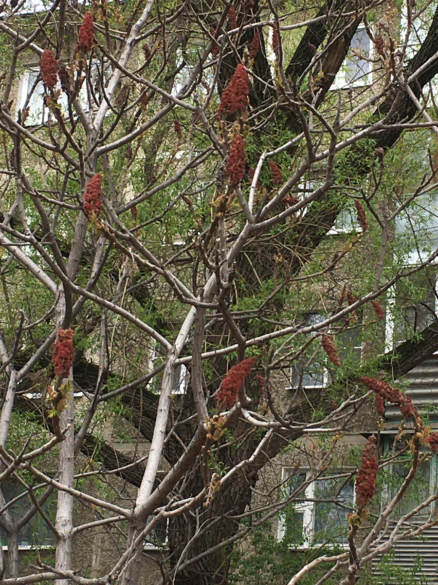 Фото: Анна Демрюкова