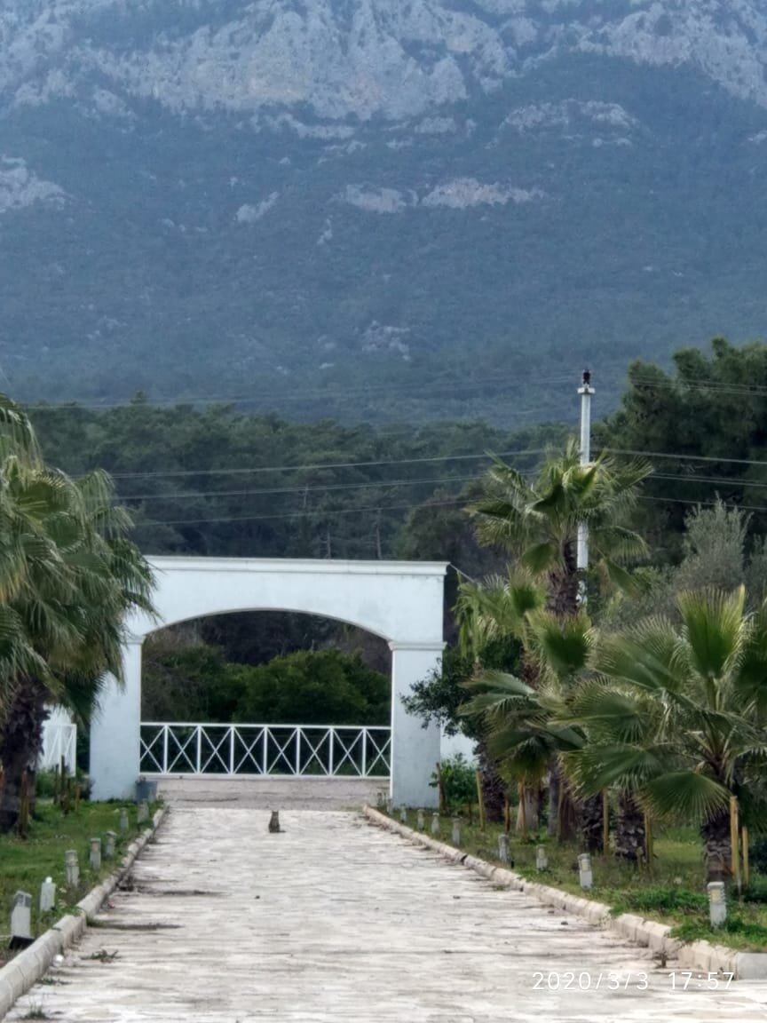 Турция. Кемер. фото из личного архива