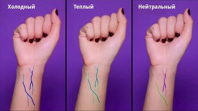 Определить свой подтон можно по цвету вен