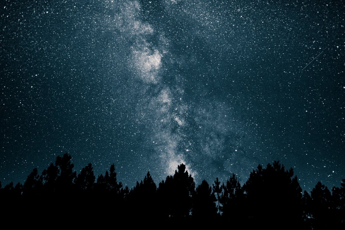 https://images.unsplash.com/photo-1502656109408-152680a8ad1c?ixlib=rb-1.2.1&auto=format&fit=crop&w=1350&q=80
