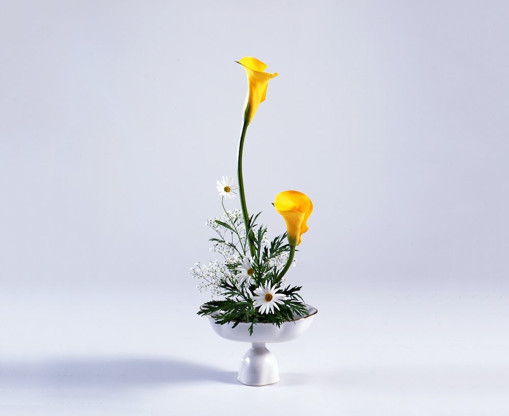 Гвоздика Ikebana