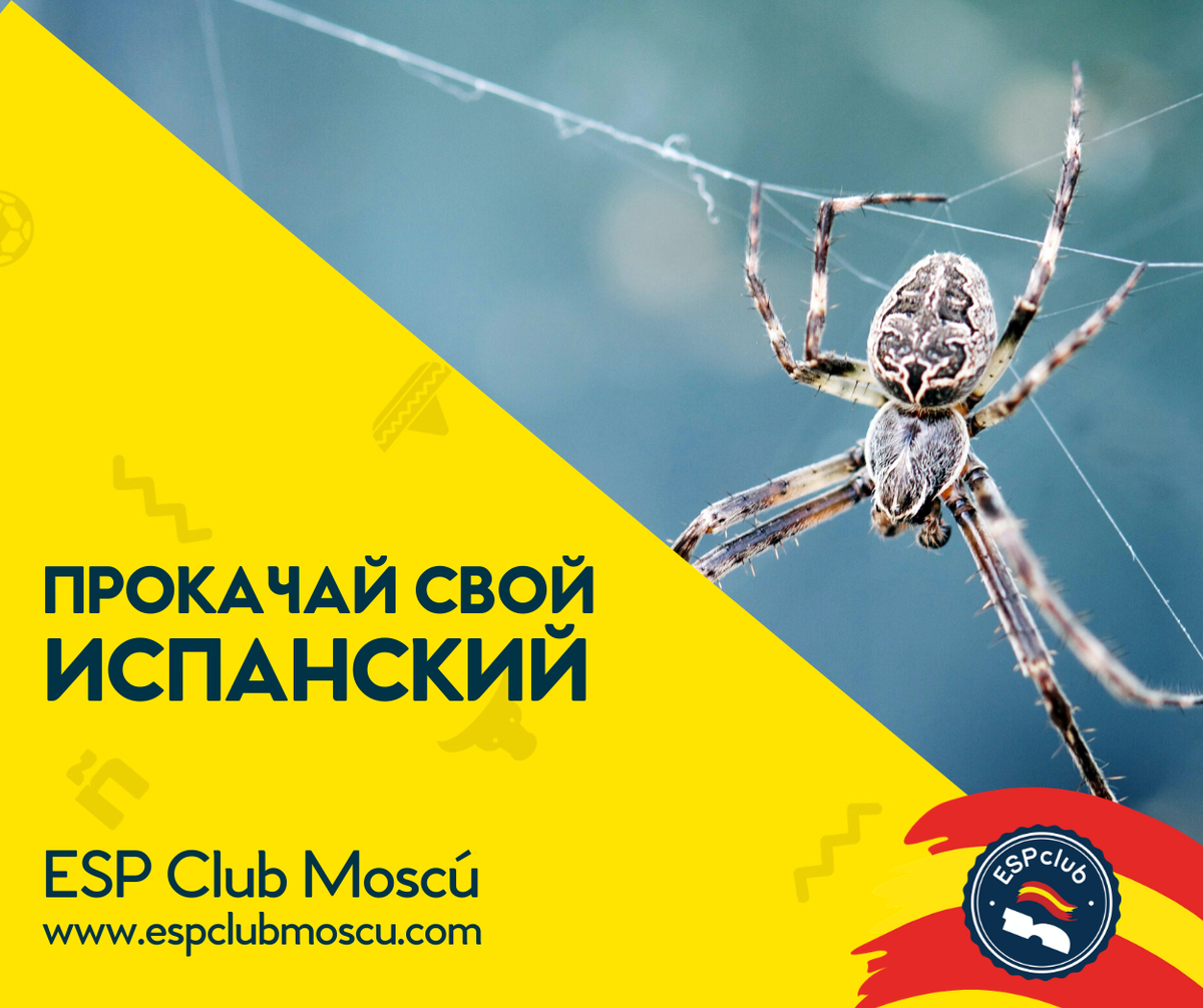 Прокачай свой испанский с Центром испанского языка и культуры ESP Club Moscú