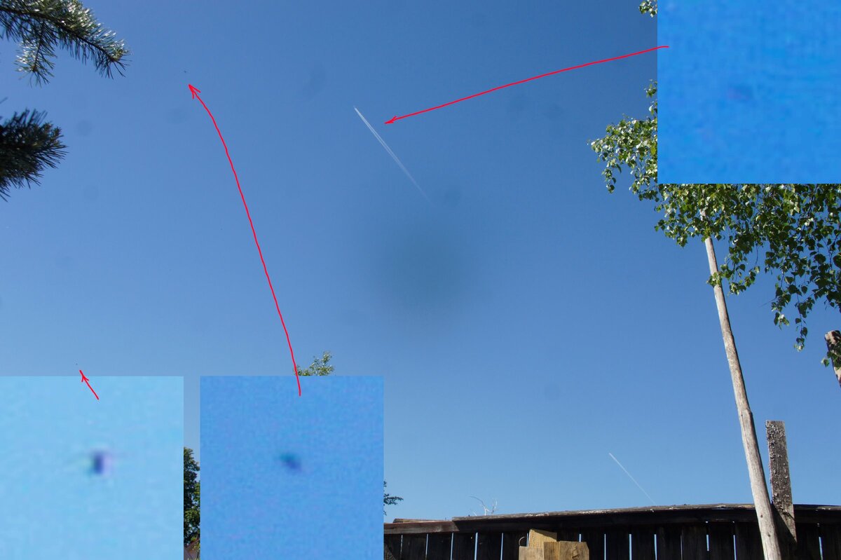 Завидовский Государственный заповедник   29.05. 2018