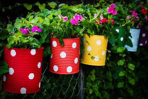 Цветы в жестяных банках