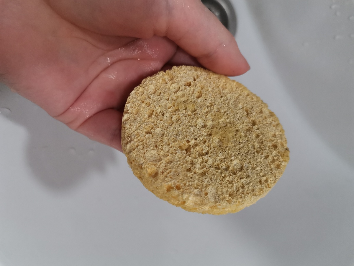 Спонж классический