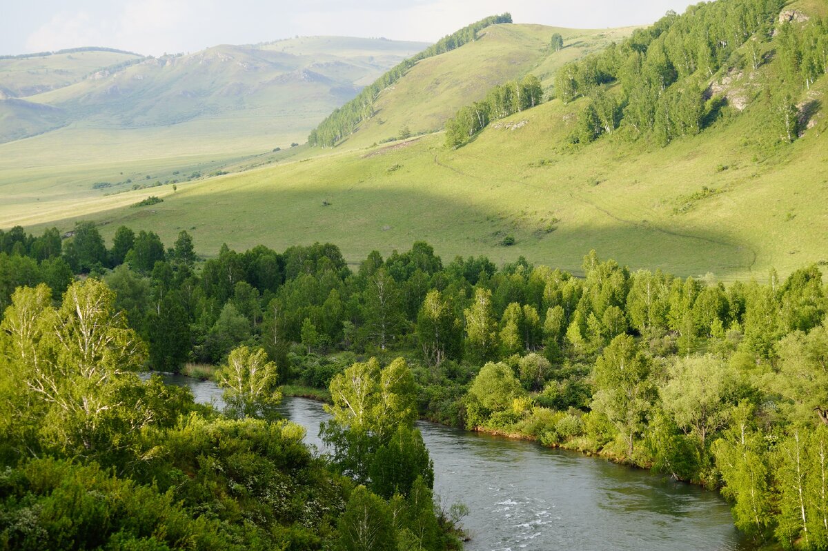 Алтай с Макаровка