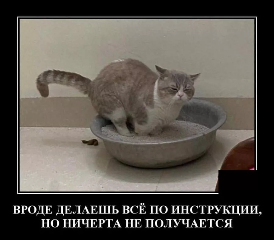 Приколы злободневные в картинках