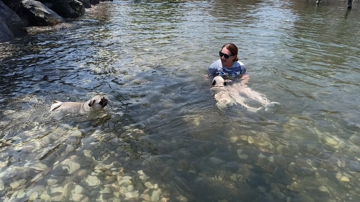 Фото снято лично автором канала КотоСобака