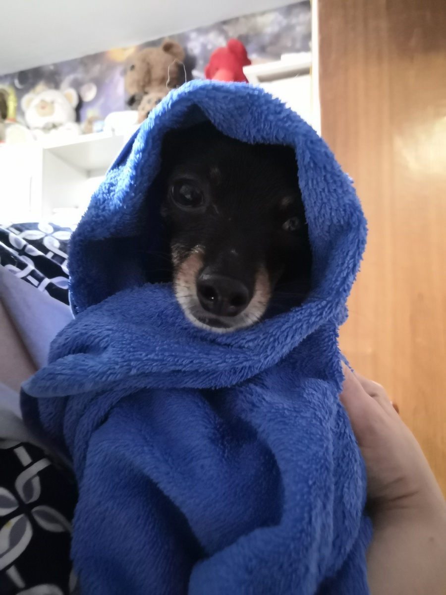 Милашка