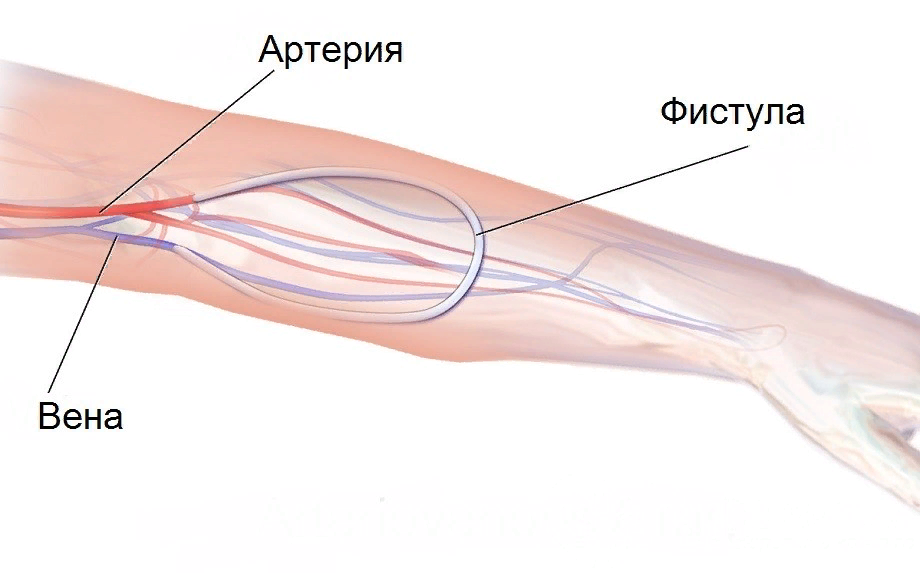 Источник: lechenie-simptomy.ru