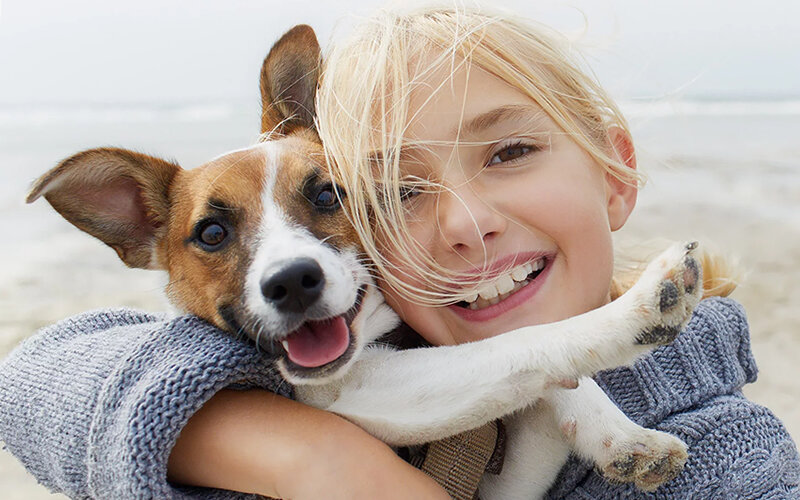 Возможно, собаки действительно знают какой-то особый секрет. Фото meredithcorp.io