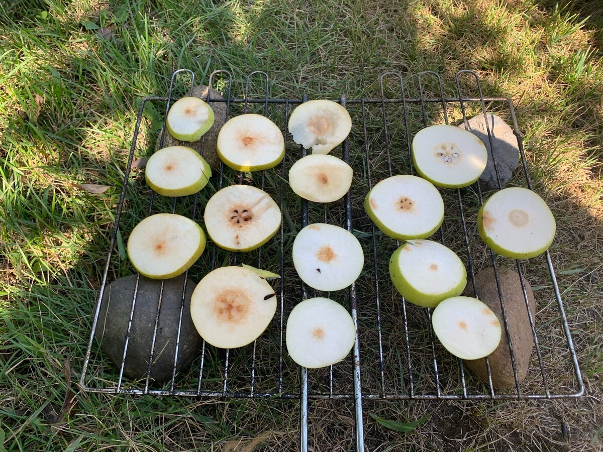 Пресс для Меда