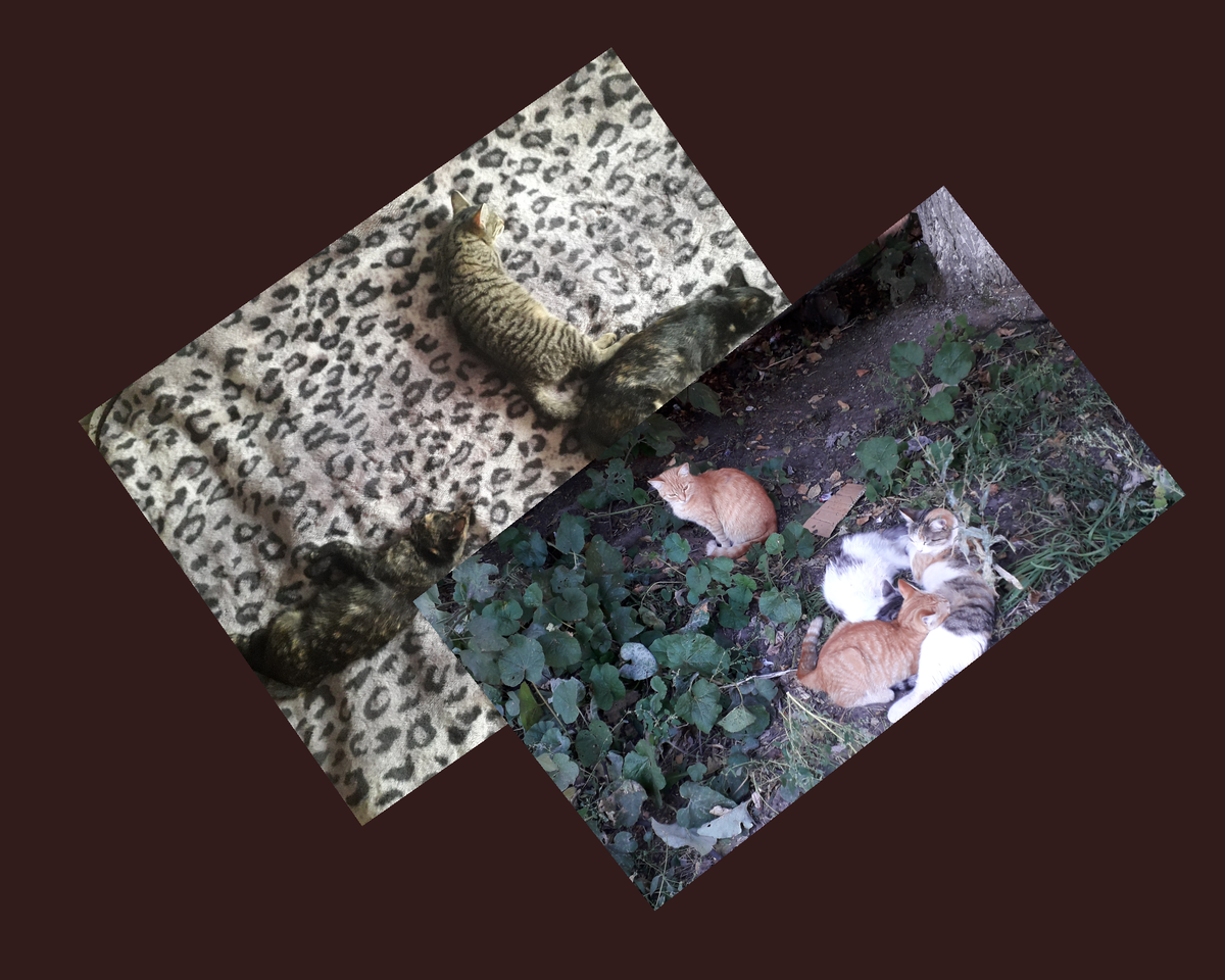 Присоединяйтесь к обсуждению, ставьте лайки, подписывайтесь на канал!