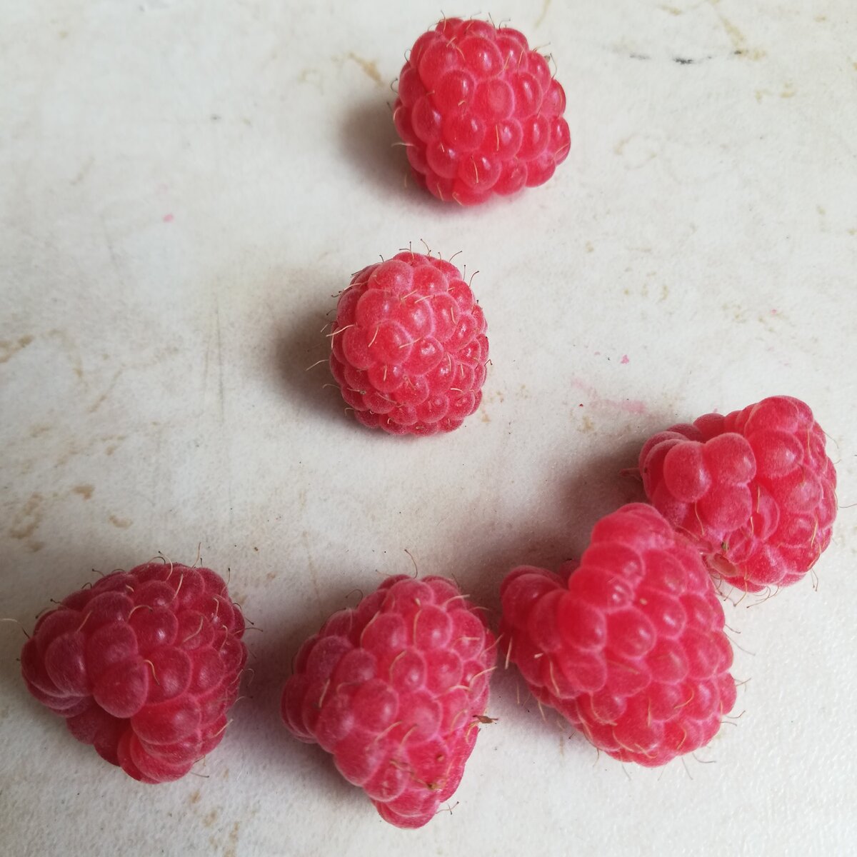 Моя любимая ягода