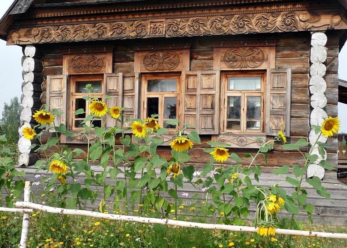 Фото: Яндекс.Картинки