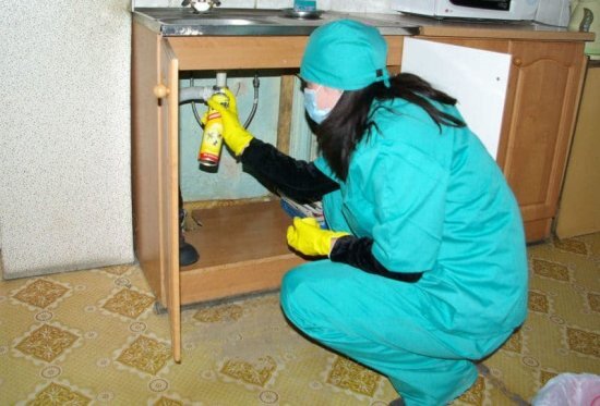 
Эффект от Дихлофоса остается на протяжении 3 недель. При многочисленной колонии рекомендуется провести повторную обработку комнаты через месяц